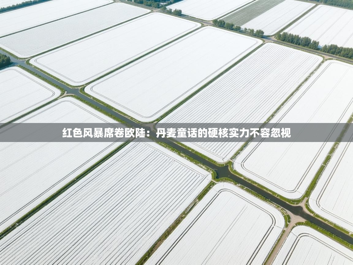 红色风暴席卷欧陆：丹麦童话的硬核实力不容忽视  第1张