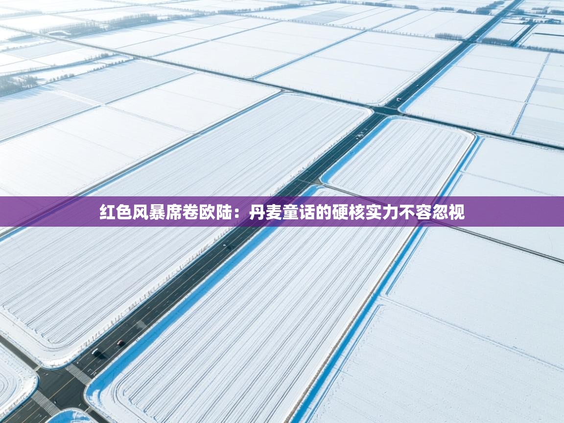 红色风暴席卷欧陆：丹麦童话的硬核实力不容忽视  第2张