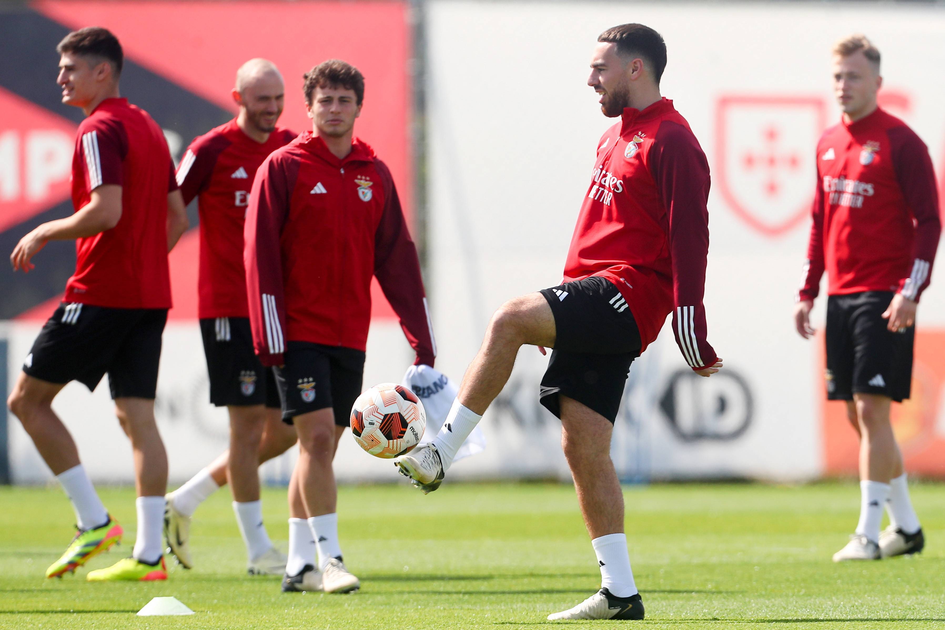 开云体育链接-摩纳哥主场获得关键胜利，积分追赶领先队伍的简单介绍