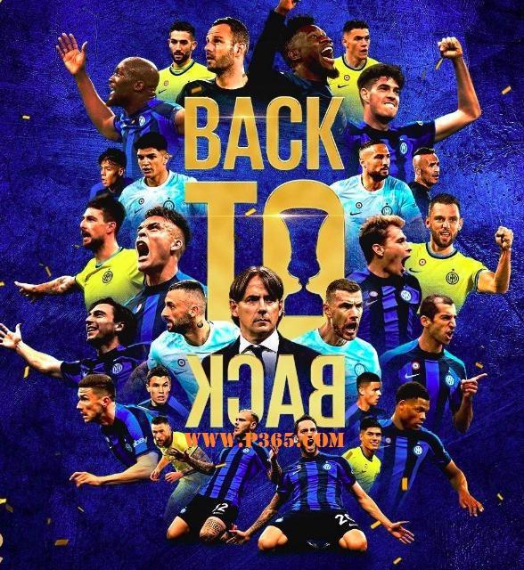 关于萨索洛-客负乌迪内斯，客场失利的信息